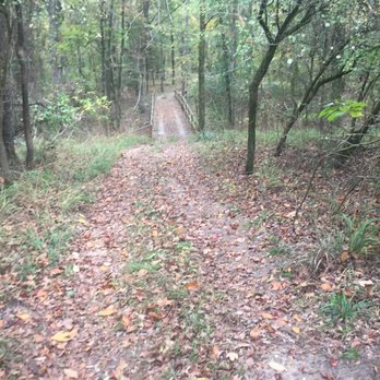 Deer Lake Cabins Ranch Resort - Trail - Resorts Near Me - Mount Vernon, Texas