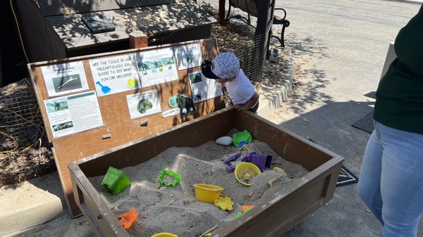 Agua Hedionda Lagoon Foundation (Discovery Center) by null