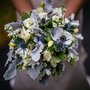 Photo of The Proper Petal