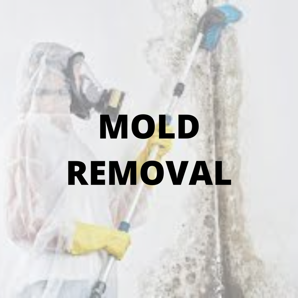 ABC Environmental - mold inspector in New York, NY