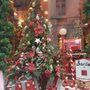 Photo of House of Christmas