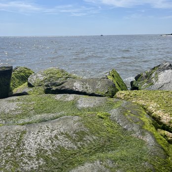 Cape May Point State Park - Parks Near Me Cape May Point State Park - Parks Near Me
