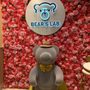 Bear's Lab