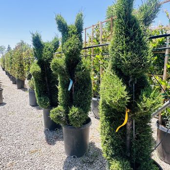 Willow Gardens Nursery - Nurseries & Gardening Near Me - Clovis, California