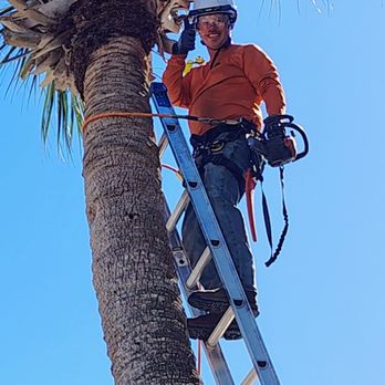 Amerigrown Tree and Lawn - Tree Services Near Me Amerigrown Tree and Lawn - Tree Services Near Me