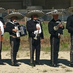 Mariachi Estrellas De Mexico