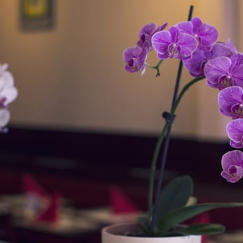 Su-Chin - Sushi Bars Near Me - Darmstadt, HE Su-Chin - Sushi Bars Near Me - Darmstadt, HE