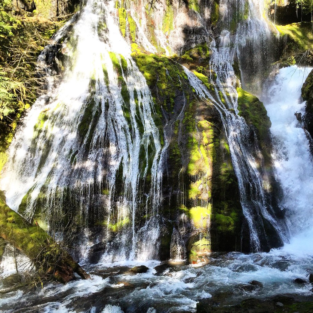 Panther Creek Falls - Lower falls view from base of the waterfalls. Beautiful and stunning. Picture does not do much justice to this gorgeous view. - Hiking Near Me - Carson, Washington Panther Creek Falls - Lower falls view from base of the waterfalls. Beautiful and stunning. Picture does not do much justice to this gorgeous view. - Hiking Near Me - Carson, Washington