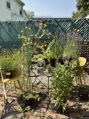 The New Corn Crib Greenhouse