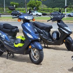 Moped Garage - My 2019 pronto(upfront), that I plan to keep for a long time. And the cute doggo is mine .