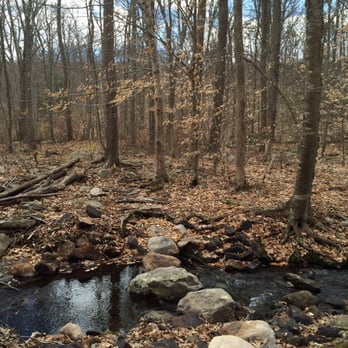 Stokes State Forest - Tibbs Trail - Hiking Near Me - Branchville, New Jersey