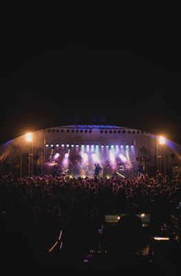 Festival at Sandpoint by null