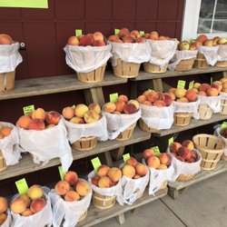 Burkholder's Farm Market