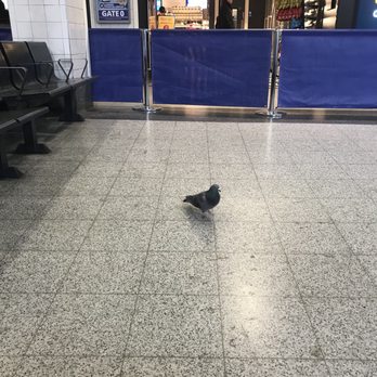 Victoria Coach Station - Public Transportation Near Me - London, XGL