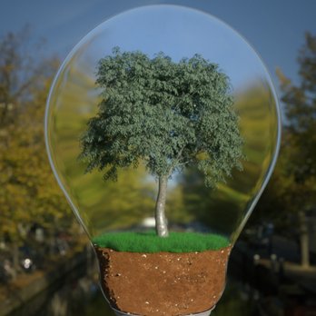 Prune & Grow Tree Care - Tree Services Near Me