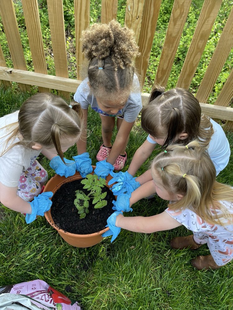 Alicia’s Bees - childcare center in Woodbridge, VA