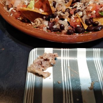 Folklore Artisanal Taco - Lots of fat in the carnitas.  Tasted like steamed, shredded pork with no actual flavor. - Mexican Near Me - Chatham Township, New Jersey