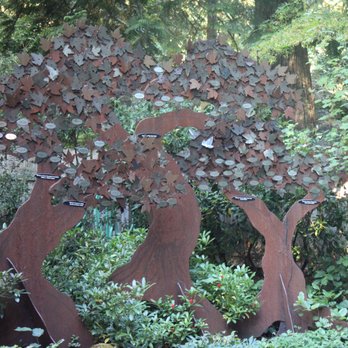 Big Rock Garden - Parks Near Me - Bellingham, Washington Big Rock Garden - Parks Near Me - Bellingham, Washington