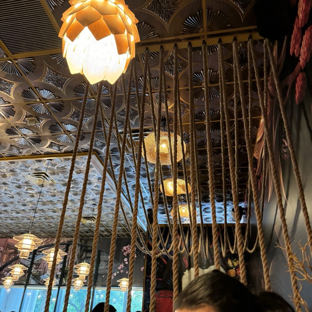 Katana Cocina Nikkei - Japanese Near Me - Weston, Florida