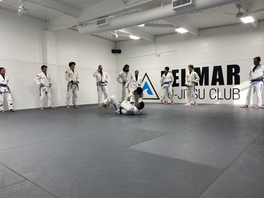 Del Mar Jiu Jitsu Club