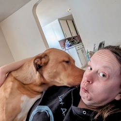 Raili's Pet Care