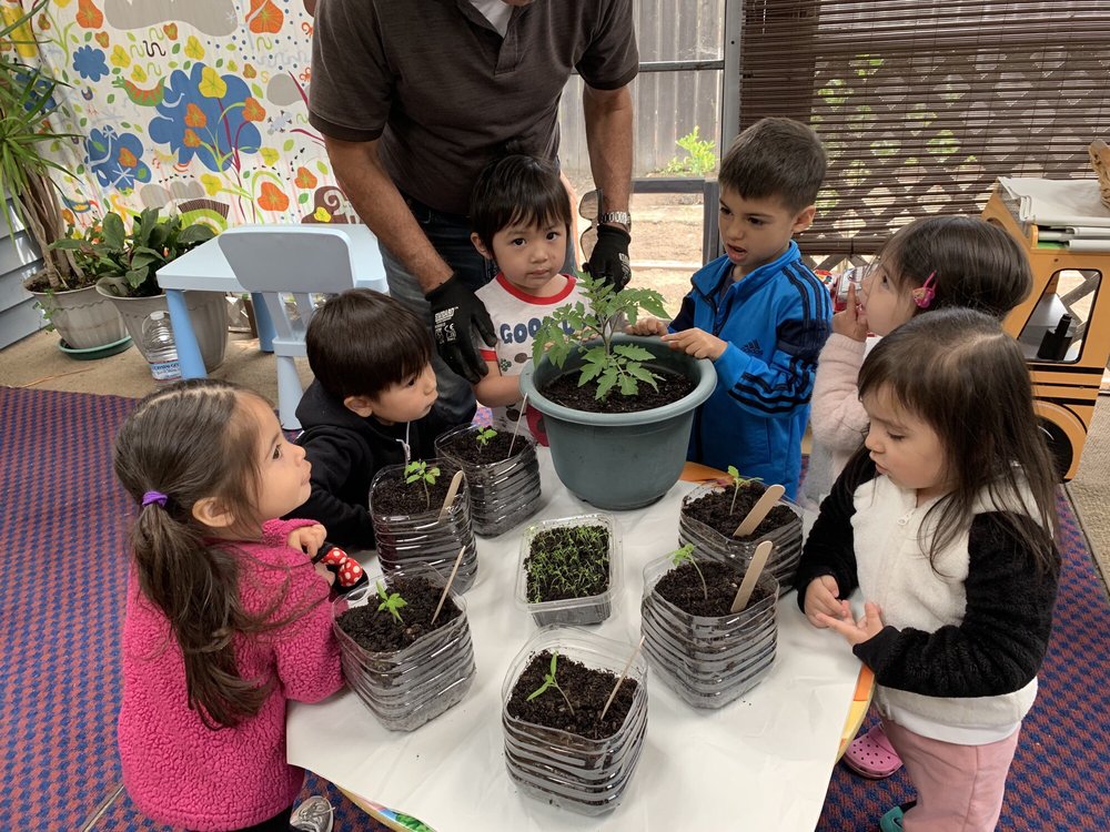 Skeyci Children Programs - childcare center in Castro Valley, CA