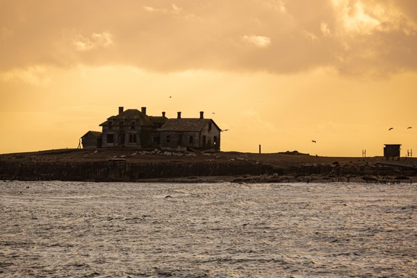 Año Nuevo State Park by null