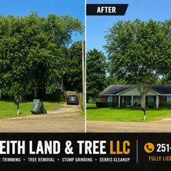 Keith Land And Tree