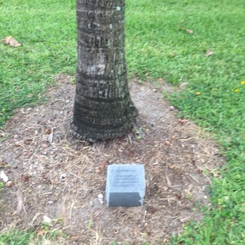 Lake Walk - Pelican Lake - Many trees are planted in memory of someone - Hiking Near Me - Juno Beach, Florida Lake Walk - Pelican Lake - Many trees are planted in memory of someone - Hiking Near Me - Juno Beach, Florida