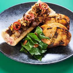 Bone Marrow