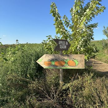 Echo Hill Orchards & Winery - Wine Tasting Room Near Me - Monson, Massachusetts