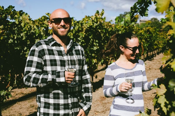 Rooted Vine Wine Tours by null