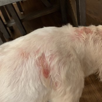 PetSmart - Horrible experience - Pet Stores Near Me - Houston, Texas PetSmart - Horrible experience - Pet Stores Near Me - Houston, Texas