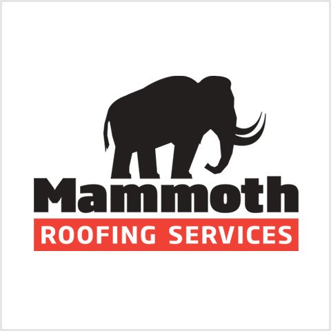 Slide of Mammoth Roofing Services