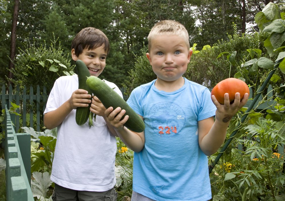 COUNTRY SCHOOL Preschools 7 Industrial Rd, Wainscott, NY Phone