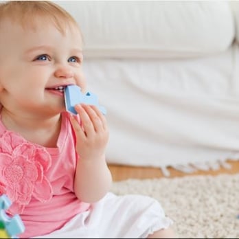 Santana Carpet Cleaning - Santana Carpet Cleaning will help you protect your family through regular carpet care. - Carpet Cleaning Near Me - Santa Clara , California Santana Carpet Cleaning - Santana Carpet Cleaning will help you protect your family through regular carpet care. - Carpet Cleaning Near Me - Santa Clara , California