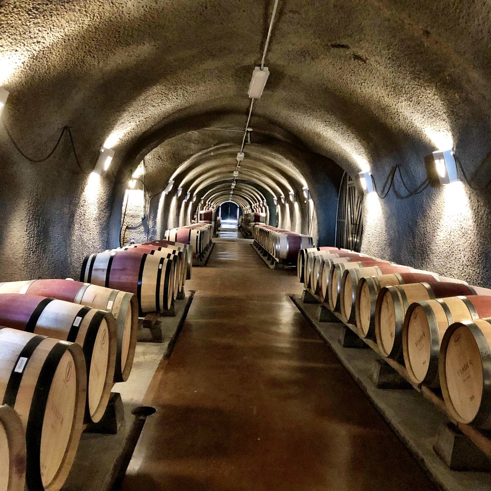 VIADER VINEYARDS & WINERY 105 Photos & 81 Reviews Wine Tours 1120