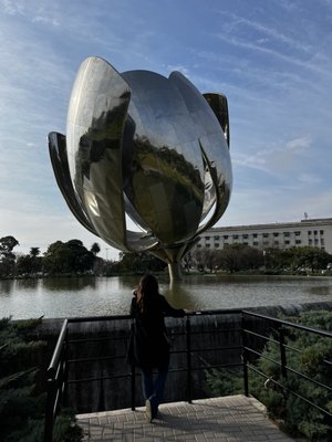 Floralis Generica by null