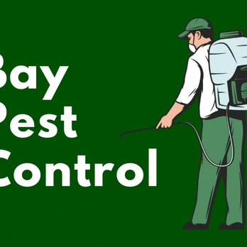 Bay Pest Control - Pest Control Near Me - Port Clinton, Ohio Bay Pest Control - Pest Control Near Me - Port Clinton, Ohio