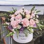 Photo of Blooms by NadiMor