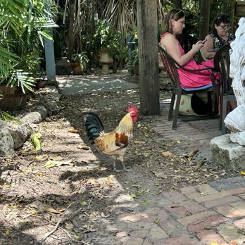 Blue Heaven - Latte - Breakfast & Brunch Near Me - Key West, Florida Blue Heaven - Latte - Breakfast & Brunch Near Me - Key West, Florida