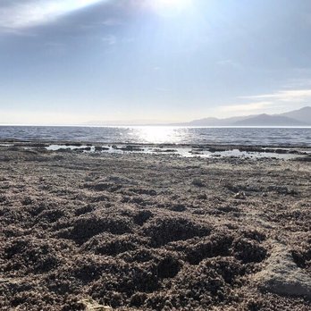 Salton Sea - Beaches Near Me - Desert Shores, California