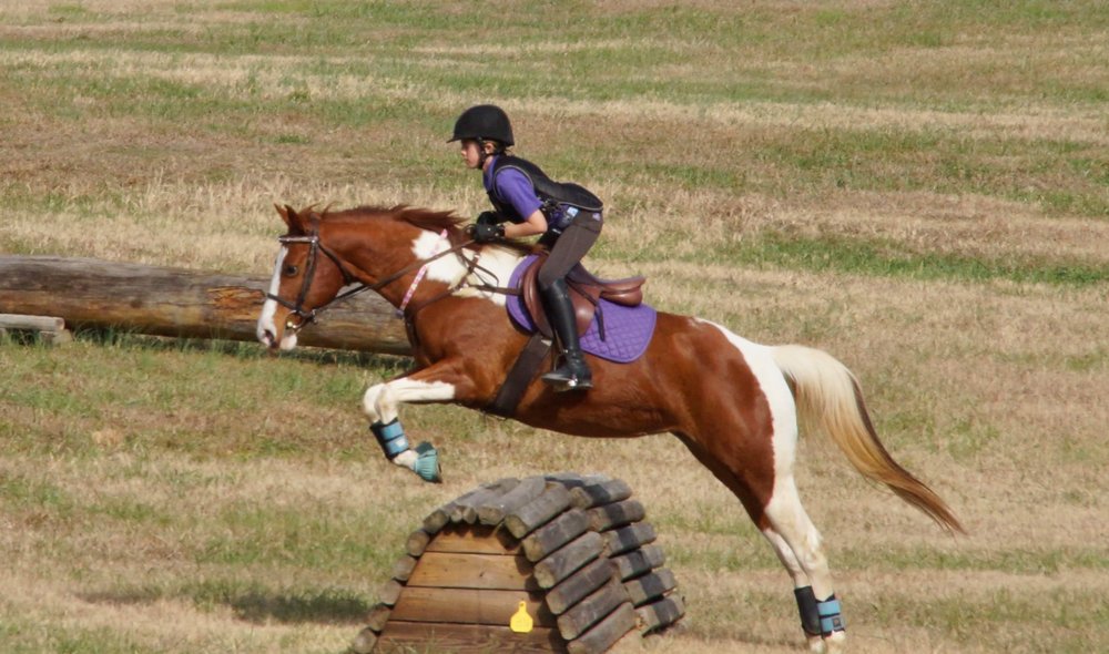 Pony Tail Acres - equestrian in Powder Springs, GA