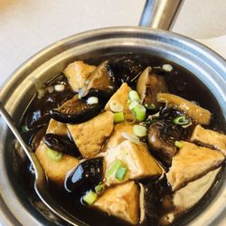 The Chinese Phoenix Express - Tofu