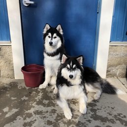 Soda and Cola at daycare! Soda and Cola at daycare!