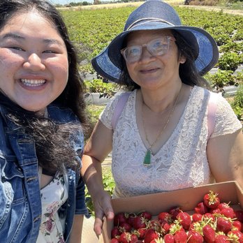 Ah-May U-Pick - Pick Your Own Farms Near Me - Brentwood, California