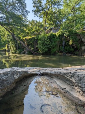 Krause Springs by null