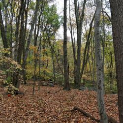 Edward Schongalla Nature Preserve - Hiking on the north side of the park