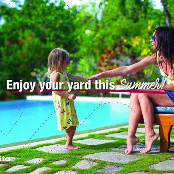 Mosquito Busters - Enjoy your backyard with family this summer! - Pest Control Near Me Mosquito Busters - Enjoy your backyard with family this summer! - Pest Control Near Me