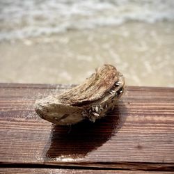 Whitecap Beach - Life's a Beach; don't become a Serf.
